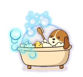 スピーディーワンのシャンプーについて 小型犬のトリミングサロン スピーディーワン スピーディーワンのシャンプーについて 小型犬のトリミングサロン スピーディーワン