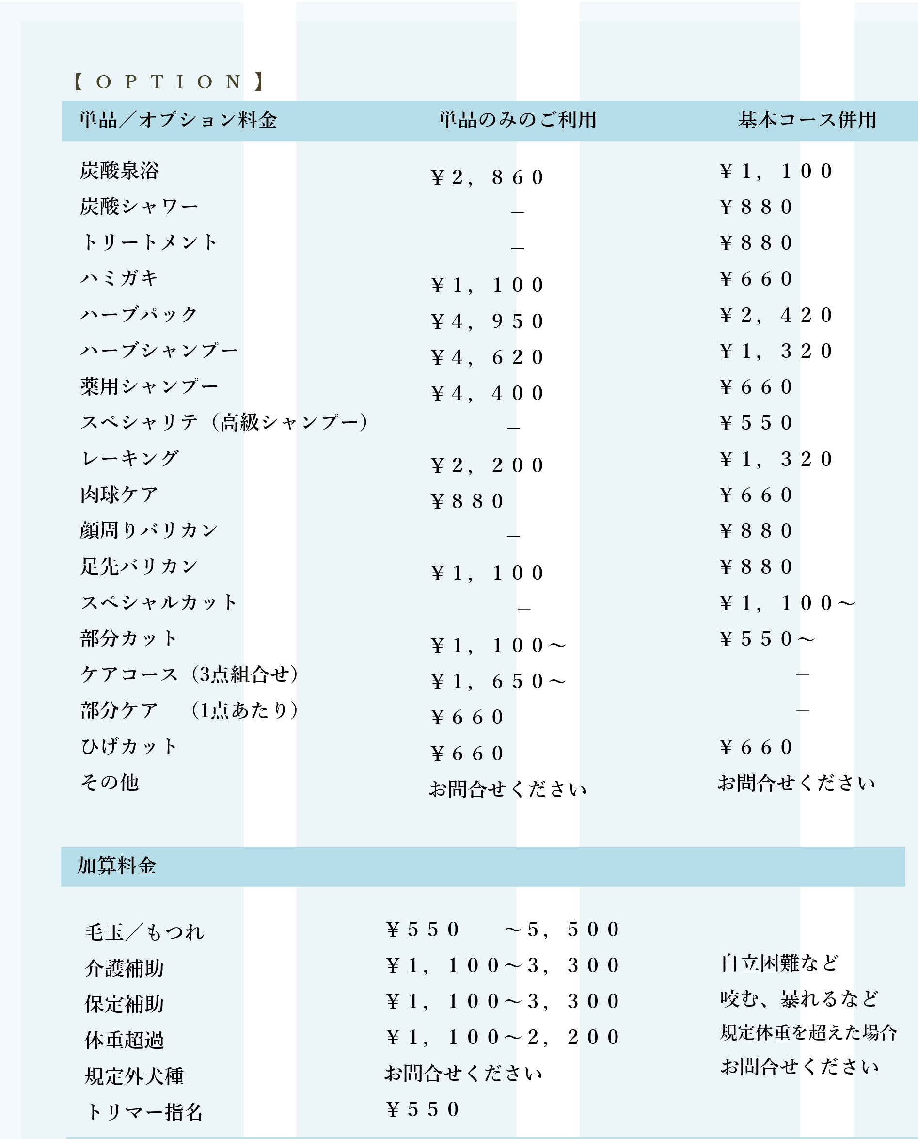 ホームページ差し替えオプション料金表