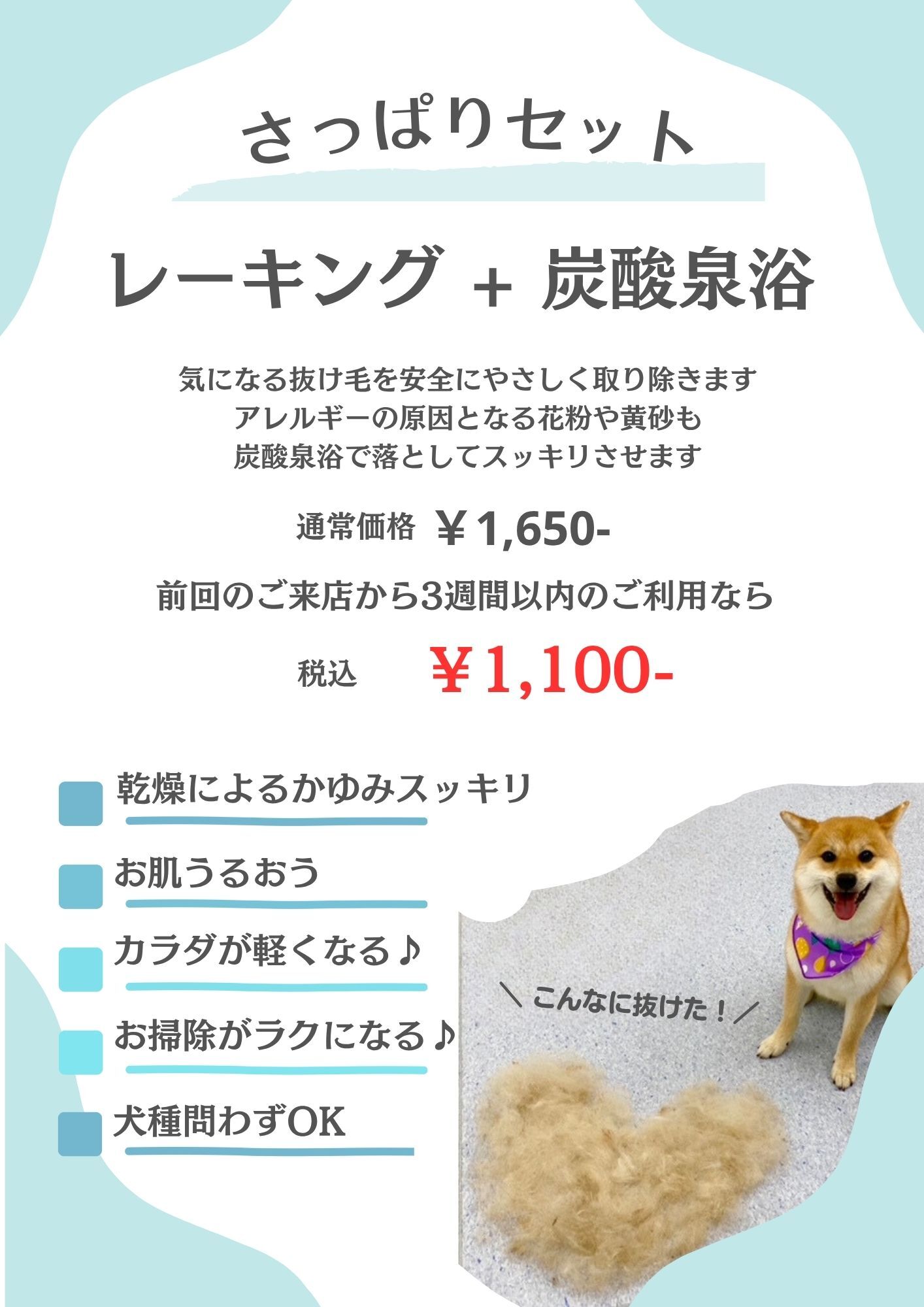 ディアワンズ茂原店　シャンプーサンプル